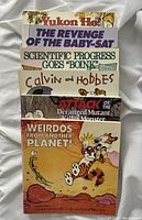 Photo of 6 Calvin and Hobbes comic books stacked displaying titles on front covers including Yukon Ho!, The Revenge of the Baby-Sat, Scientific Progress Goes 'Boink', Attack of the Deranged Mutant Killer Monster, Weirdos from Another Planet!