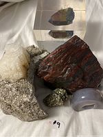 Group view of all six specimens