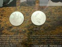 Obverse and reverse sides of two Canadian 1995 sterling silver 50 cent coins showing puffin design and Queen Elizabeth II profile.