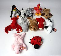Photo showing 12 vintage Beanie Babies arranged in two rows, all with original tags attached. Animals include penguin, dalmatian, zebra, flamingo, dog, lobster, elephant, lion, red bull, shark, pig, and ladybug.