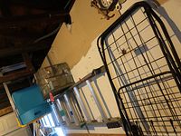 Three blue plastic folding chairs with metal frames, a small wire bird cage, and a collapsible wire shopping cart with wheels visible in an indoor setting.