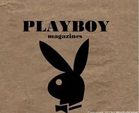 Close-up of the Playboy logo on brown paper or cover with the classic Playboy bunny icon.