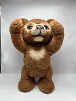 Front standing view of the FurReal Cubby The Curious Bear plush toy showing facial details, arms raised.