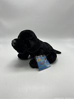 Black Labrador puppy plush toy with attached Webkinz tag showing branding and model number.