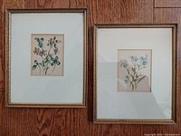 Two framed floral watercolor paintings side by side showing delicate botanical subjects with single mats and gilt wood frames.
