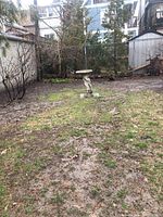 Photo of the bird bath in a backyard, showing the dolphin shaped base and basin on top amidst grass and dirt ground.