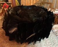 Black feathered vintage hat showing detailed feather layering, circular brim, and some wear.