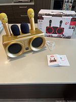 Karaoke system with speaker console, two gold wireless microphones, two black foam filters, white USB cable, and original box in background.