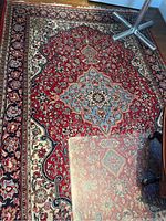 Full view of the area rug showing the large geometric floral medallion in the center and detailed border patterns.