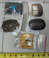 Overview photo showing all five belt buckles in clear plastic bags with measuring tape below indicating sizes up to about 10 inches