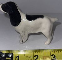Side view of the black and white Beswick spaniel dog figurine showing length measurement about 3 inches
