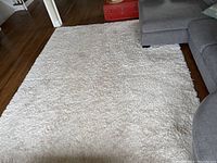 Full view of the off-white shag area rug placed on hardwood floor near sectional sofa and red trunk, showing overall condition including visible stain and texture.