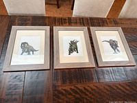 Three framed dinosaur prints laid on wood table, showing full frames and prints.