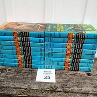 Stack of 16 Hardy Boys hardcover books laid flat showing spines with blue covers and circular Hardy Boys illustrations.