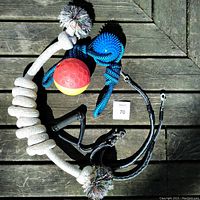 Overview of all items on wooden surface showing rope toys, treat ball, and double leash