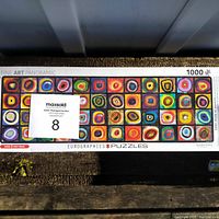 Photo of the sealed 1000 piece jigsaw puzzle box showing the panoramic artwork by Wassily Kandinsky with a grid of colorful concentric squares and circles.