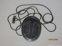 Sterling silver necklace featuring a black trilobite fossil pendant in an oval bezel on a snake chain