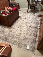 Overall view of rug in room with furniture, showing full rug size and pattern