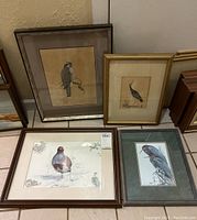 Four framed bird art pieces arranged on floor: partridge lithograph (brown frame), herons (dark frame), raptor bird (silver frame), small bird (gold frame).