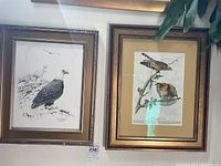 Two framed bird themed artworks side by side on wall, left is bald eagle, right is red-shouldered hawks