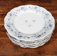 Stack of eight white porcelain plates with blue floral pattern and silver edging, showing some wear