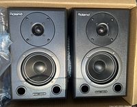 Pair of Roland DS-50A monitors in box, front view