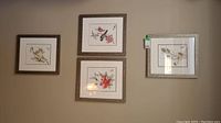 Four framed and matted prints hanging on beige wall showing bird and floral illustrations