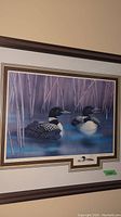 Framed wildlife print showing two loons on water with reeds and reflections under glass in a dark wooden frame.