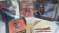 Photo showing five Stevie Wonder vinyl albums, including Music of My Mind and Talking Book.