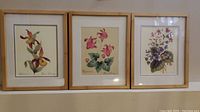 Three framed and matted floral paintings by Gisela Downey displayed side by side on a wall.