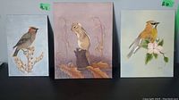 Three original wildlife paintings showing a chipmunk in center, waxwing on right, and another bird on left on botanical elements.