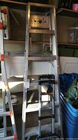 Full view of the stepladder alongside the collapsible hand cart in storage area.