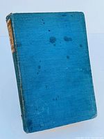 Front cover of the blue hardcover book 'Vikings Of The Ice' showing wear and multiple dark stains.