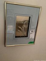 Frontal view of the three-dimensional framed glass bulrush picture showing the signature and frame condition.
