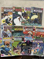 Group photo of approximately 15 plastic-sleeved Marvel comic books featuring Wolverine and Ghost Rider covers laid out on floor.