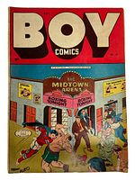 Front cover full view showing title and boxing illustration