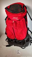 Full front view of red Dana Design ArcFlex Terraplane internal frame backpack with visible internal frame and compression straps.
