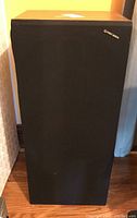 Black floor-standing Pioneer speaker with grille cover showing logo.