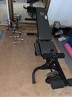 Weight bench showing padded backrest with attached leg support and dumbbells arranged nearby on carpeted floor.