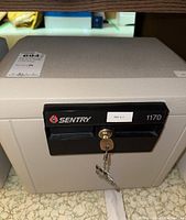 Front view of Sentry safe model 1170 closed with two keys inserted in lock.