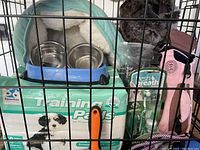 View of inside the dog cage containing dog bowls in a blue holder, training pads box behind, grooming brush hanging on cage, dog clothes visible inside