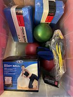Photo showing 2 blue yoga blocks, green and red small exercise balls, boxed white body ball, blue ankle weights, and yellow stretching bands with handles all inside a storage container.