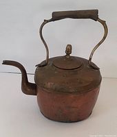 Side view photo showing copper kettle with patina and curved spout, wooden grip handle across the top.