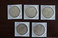 Front view of five replica Morgan Dollar coins in white cardboard holders, visible dates 1880, 1888, 1891, 1898, 1904.
