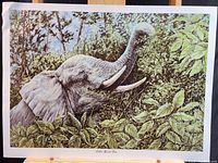 Detailed close-up of elephant print titled "Little Great One" showing the elephant in greenery with visible subtle wear in top left corner.