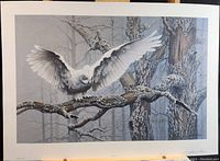 Full view of the signed specimen print showing a great snowy owl in flight in a winter forest scene with tree trunks.