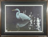 Overall framed print showing egret in water with reflection and mangrove shadows