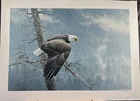 Limited edition print showing bald eagle perched on tree limb with signature visible in lower right corner.