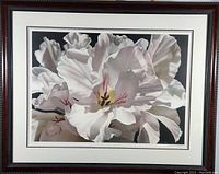 Full view of the framed limited edition print featuring a large white geranium flower taking up most of the composition with detailed petal texture and shadows.