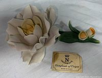 Photo showing large cream-colored porcelain flower, smaller flower buds with green leaves, and certificate of origin.